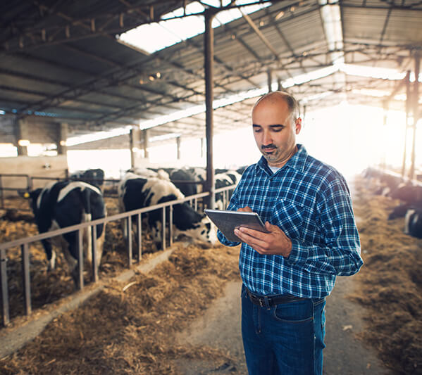 Farm Accounting